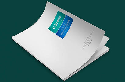 凉城县样本册设计：以严谨逻辑，展现城市产业的硬核实力